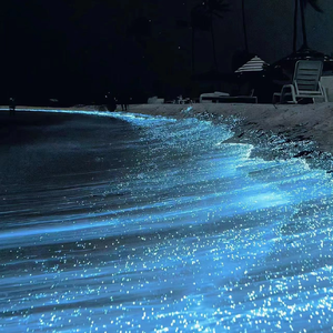 国产成人美女视频网站
