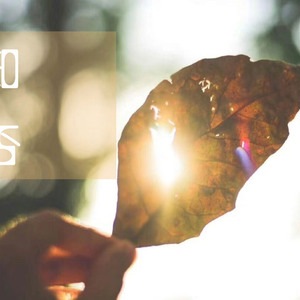 国产成人美女视频网站
